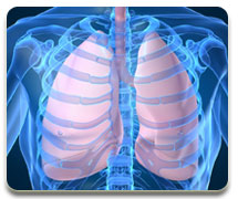 respirstory-disorders respirstory-disorders