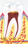 root01 root01