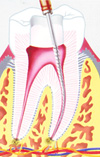 root03 root03